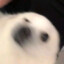 不过是为情所困