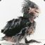 PARROT