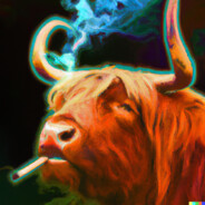 High Land Coo