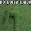 Травянистый
