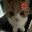 kun