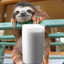 sloth milk