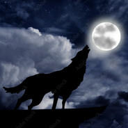 NIGHT WOLF