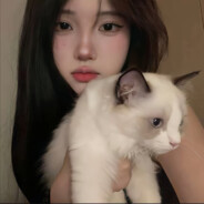 像倦鸟失了归期