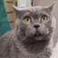 JAZZ_NOMBER_1