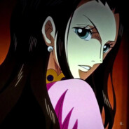 别把罗宾打急了