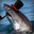 The Master Fish