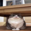 CATWISCAS