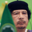 xGadhafi