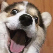 她说的很隐晦也很明白