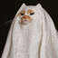 funt_tv
