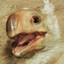 raptorhound