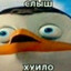 cago