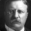 Theodore Roosevelt