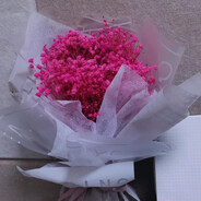 哇哈哈哈哈哈哈哈哈哈