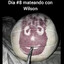 Wilson avatar