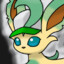 just a Leafeon with a hat