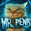 Mr Penis