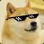 I will Doge Style you