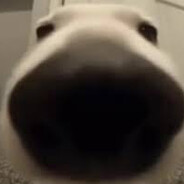 no