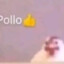 pollo