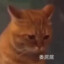 会跳舞的大鸡腿