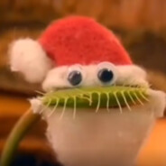 小猫骑老头闯红灯