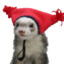 Furet