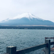 内心极度阴暗的小鸡