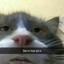 H0n3y_R1nh02