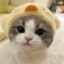 boonibae