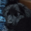 Dany