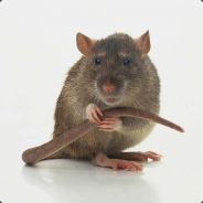 Roemer - steam id 76561197961154172
