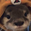 Marryc
