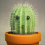 Soy Cactus