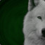 theveningwolf