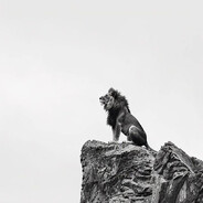 … - steam id 76561198442553540