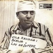 Zivojin Misic 1 9 9 4