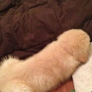 ✪ Ɑ͞ ̶͞ ̶͞ ̶ﻝﻝ