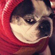 不会武功的常威