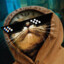 DON-CATCANI