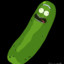 Pickle