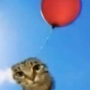 шарик вне закона