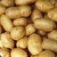 50potatoes