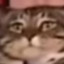 Riixbe