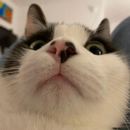 超痛斜方肌大王