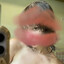 momcallmebazz