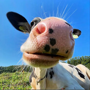 平成二十四年冬