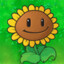 sunflower from pvz