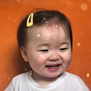 羊和猪